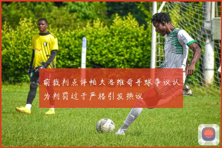 前裁判点评帕夫洛维奇手球争议认为判罚过于严格引发热议