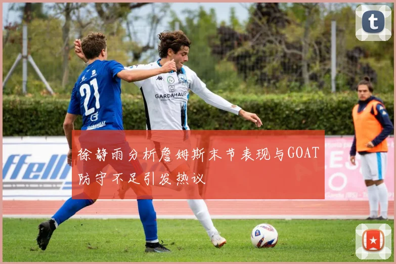 徐静雨分析詹姆斯末节表现与GOAT防守不足引发热议
