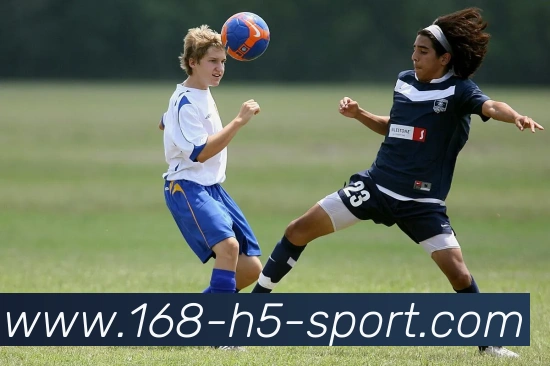 App Interface Preview